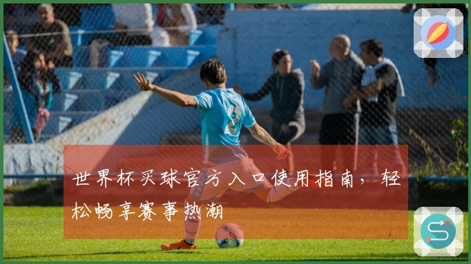 世界杯买球官方入口使用指南，轻松畅享赛事热潮